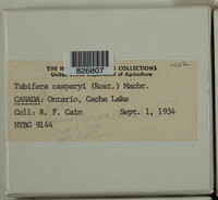 Image Associated With the Occurence
